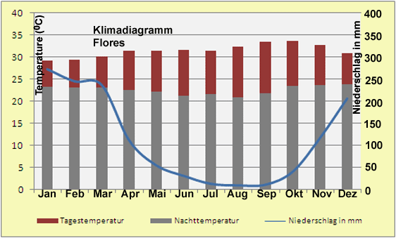 Klimadiagramm Flores